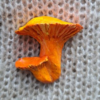 Брошь гриб лисичка 4