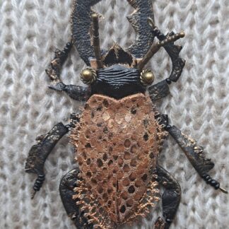 Золотистый сказочный жук