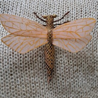 Стрекоза золотистая