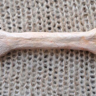 Брошь кость